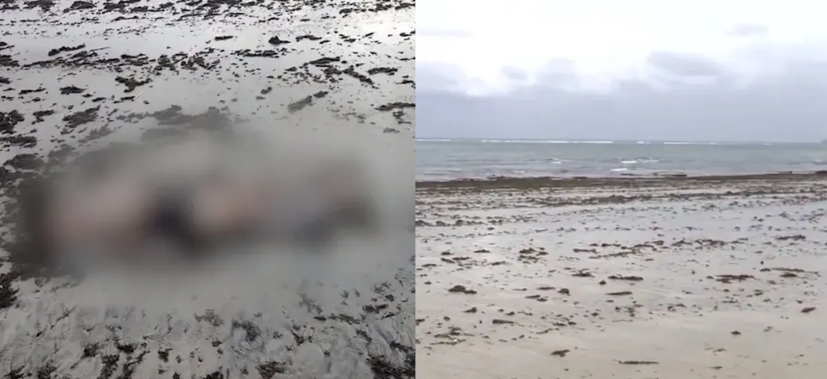 Corpo de homem sem cabeça é encontrado na Praia do Pirambu, em Fortaleza